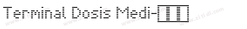 Terminal Dosis Medi字体转换